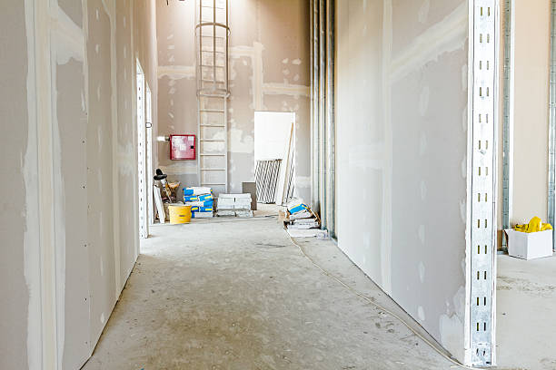Best Mold Remediation for Healthcare Facilities  in Trafalgar, IN