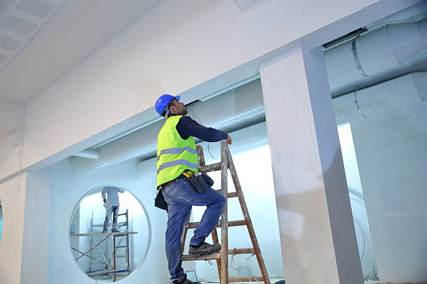 Biohazard Mold Removal in Trafalgar, IN