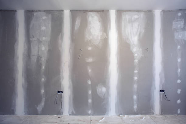 Best Mold Odor Removal Services  in Trafalgar, IN